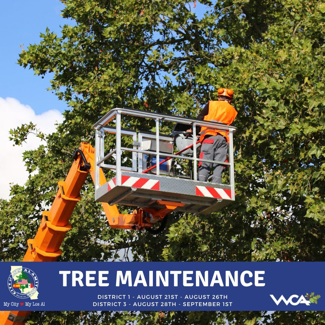 Tree Maintenance 1 (Final)