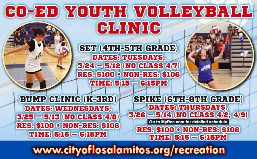 Volleyball Clinics