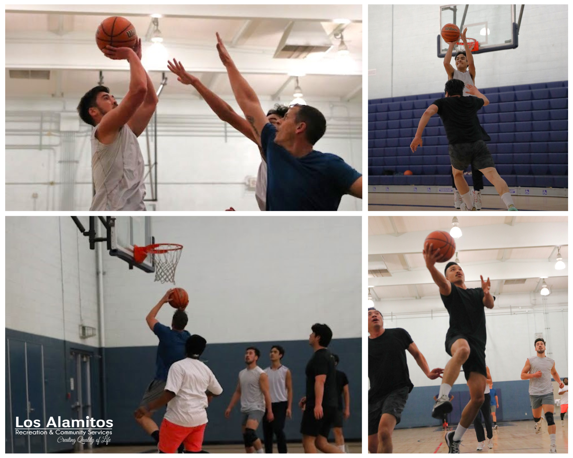 Pick-Up Basketball Adult